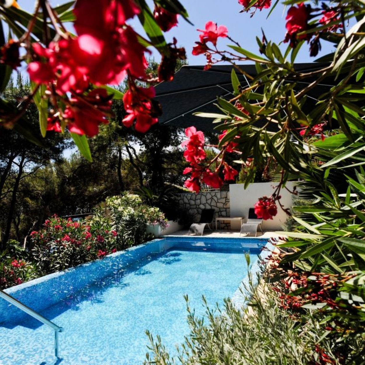 Villas Hvar - osnovna slika