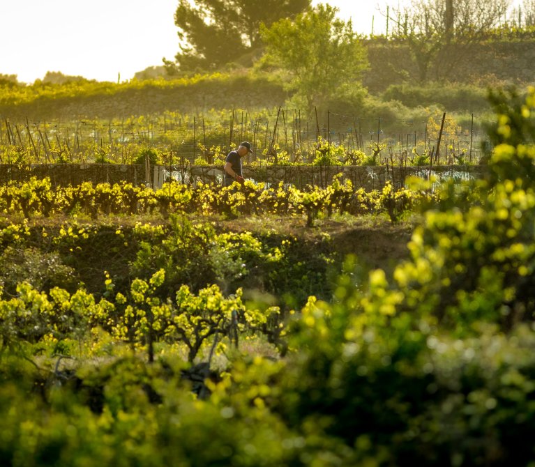 Villas Hvar Hero Image