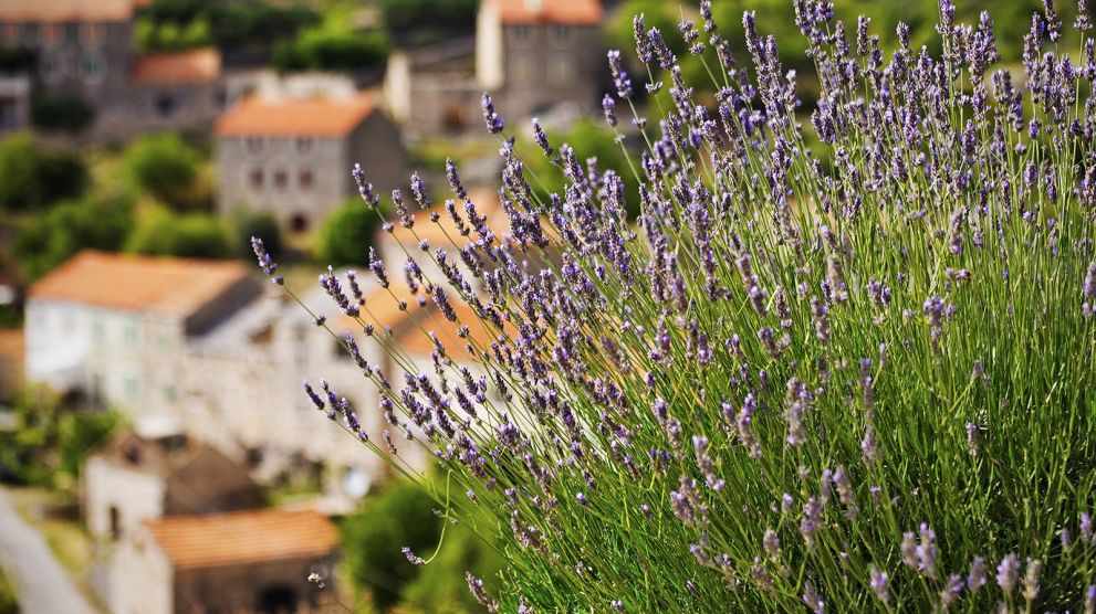 Navigating the Adriatic Jewel: A Comprehensive Guide to Reaching Hvar