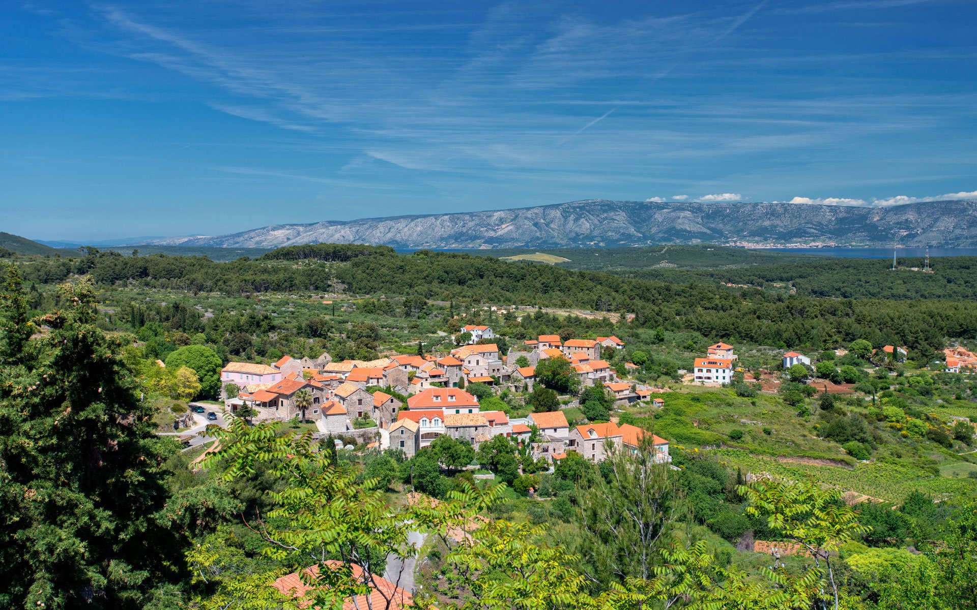 Pitve Village of Pitve – The Island — Villas Hvar