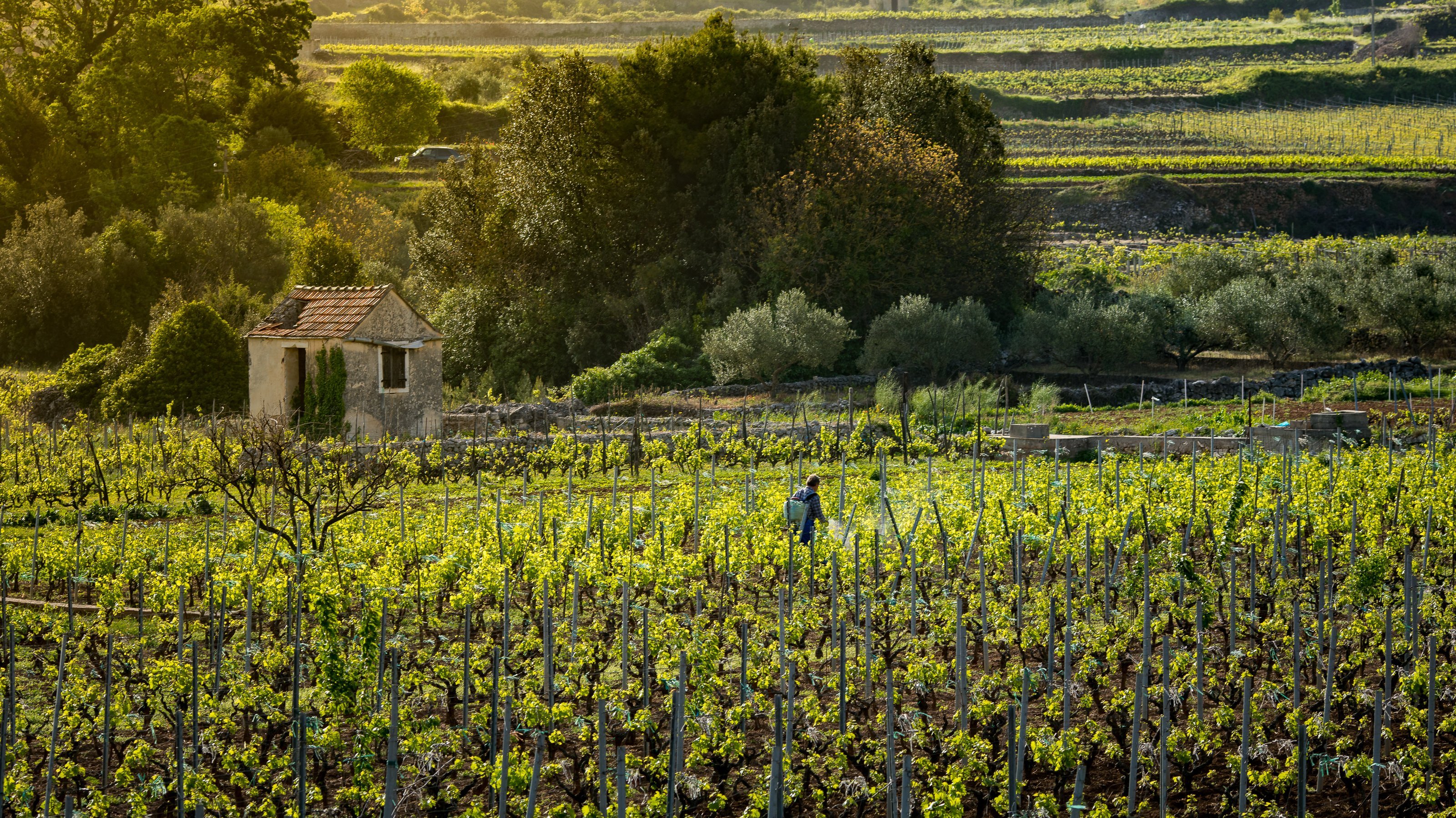 Taste of Life Taste of Life