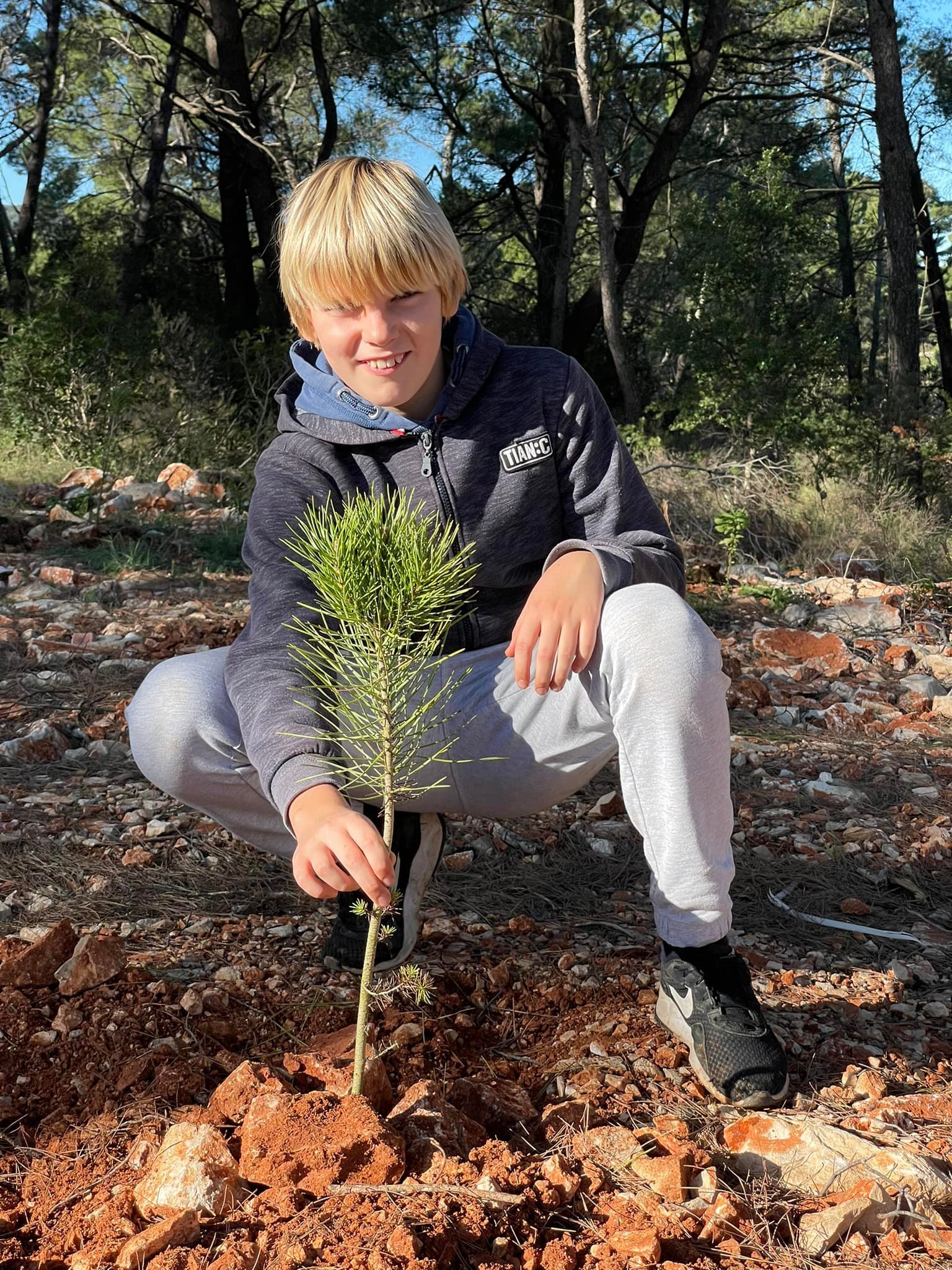 villas hvar plant a tree 2021