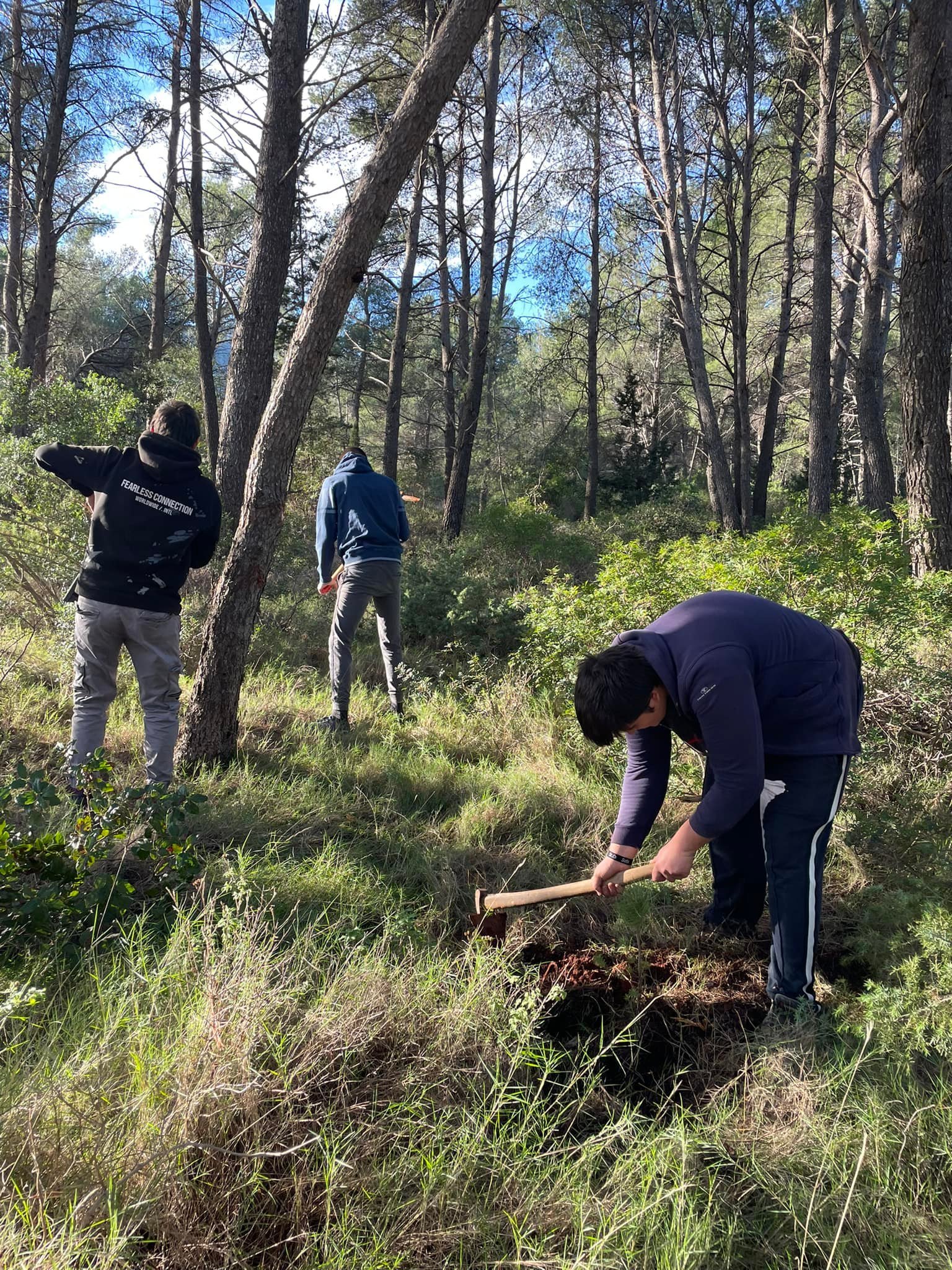 VILLAS HVAR PLANT A TREE VILLAS HVAR PLANT A TREE