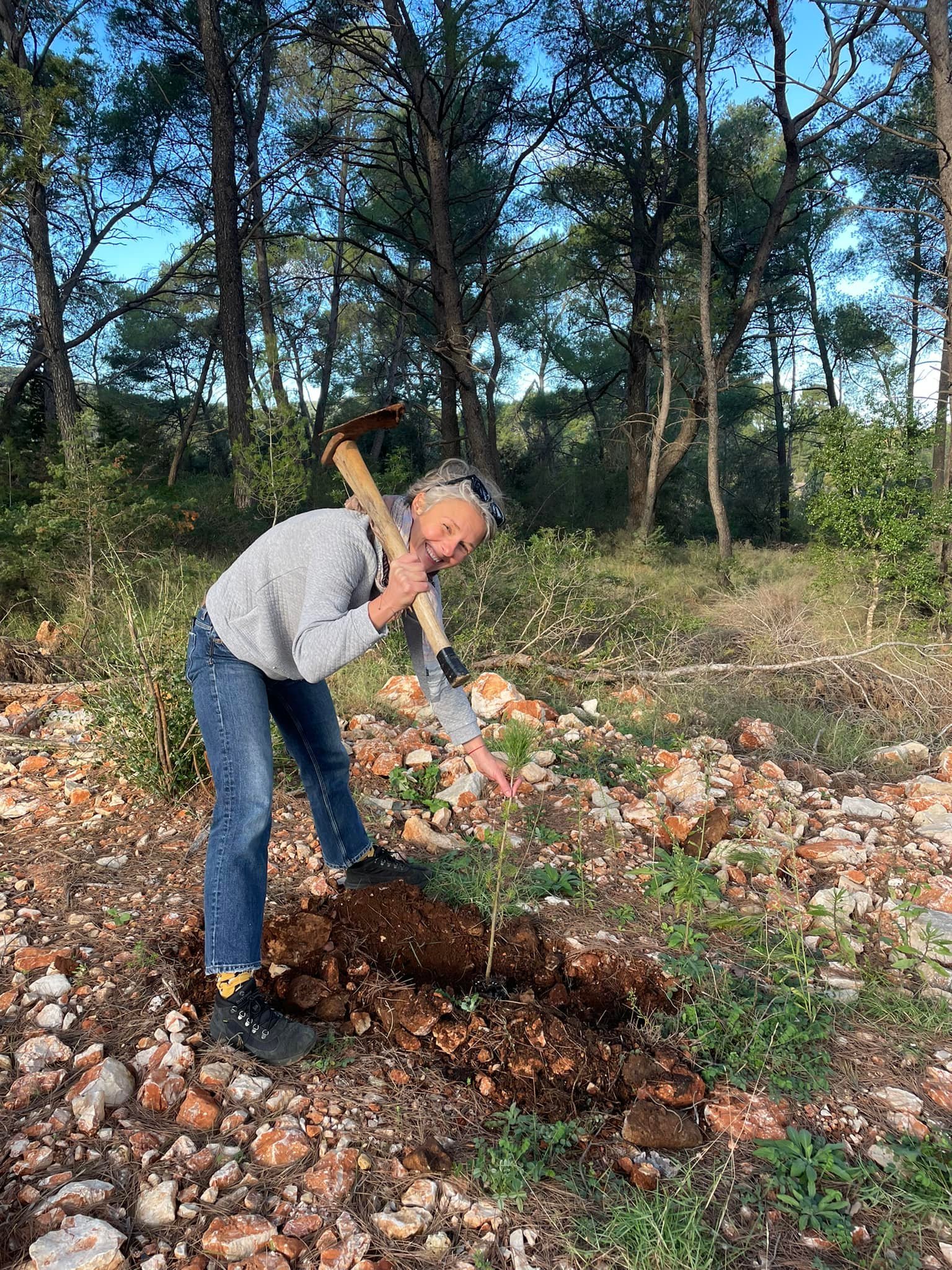 Villas Hvar Plant a Tree Plant a tree 2021