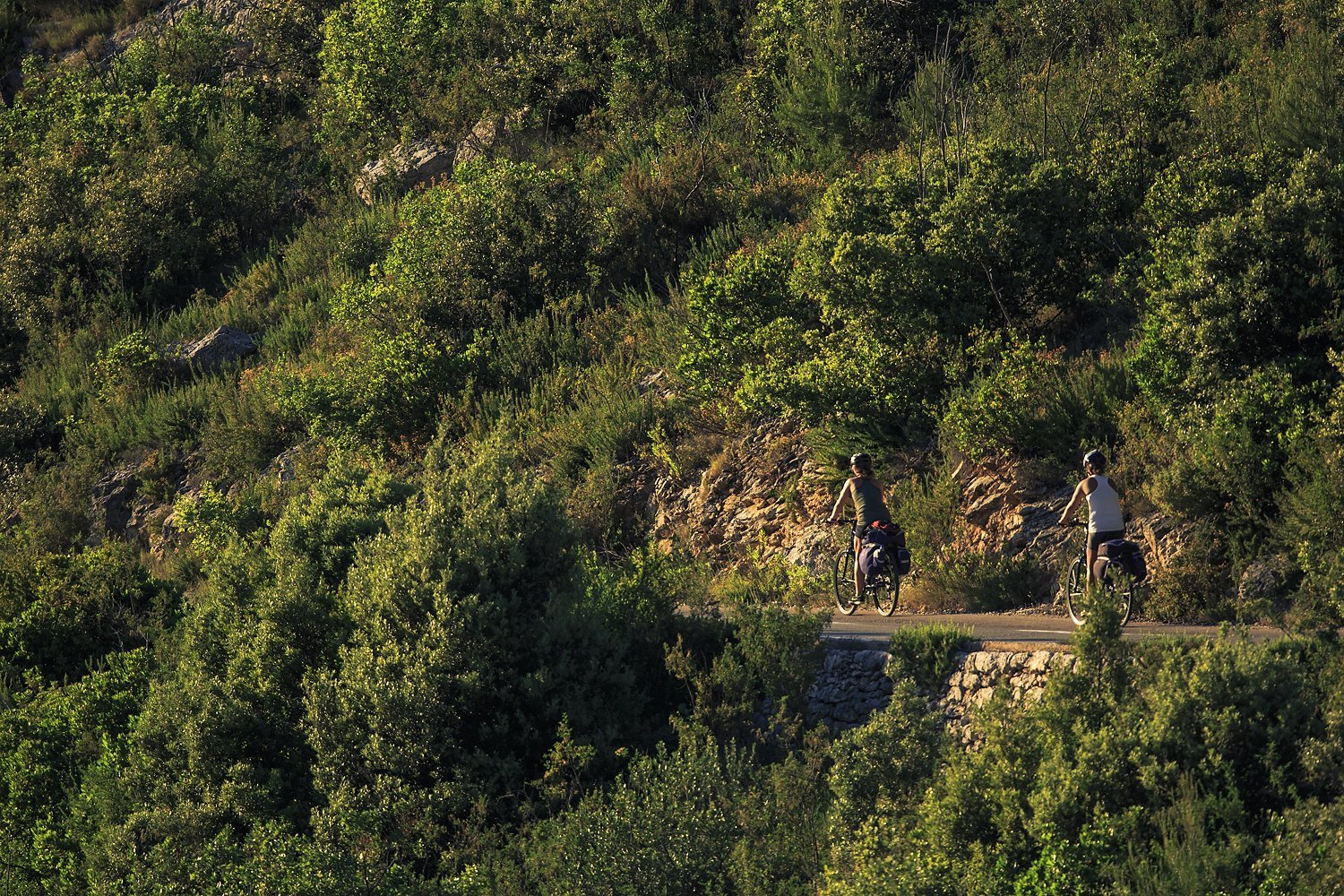 Springtime on Hvar Springtime on Hvar