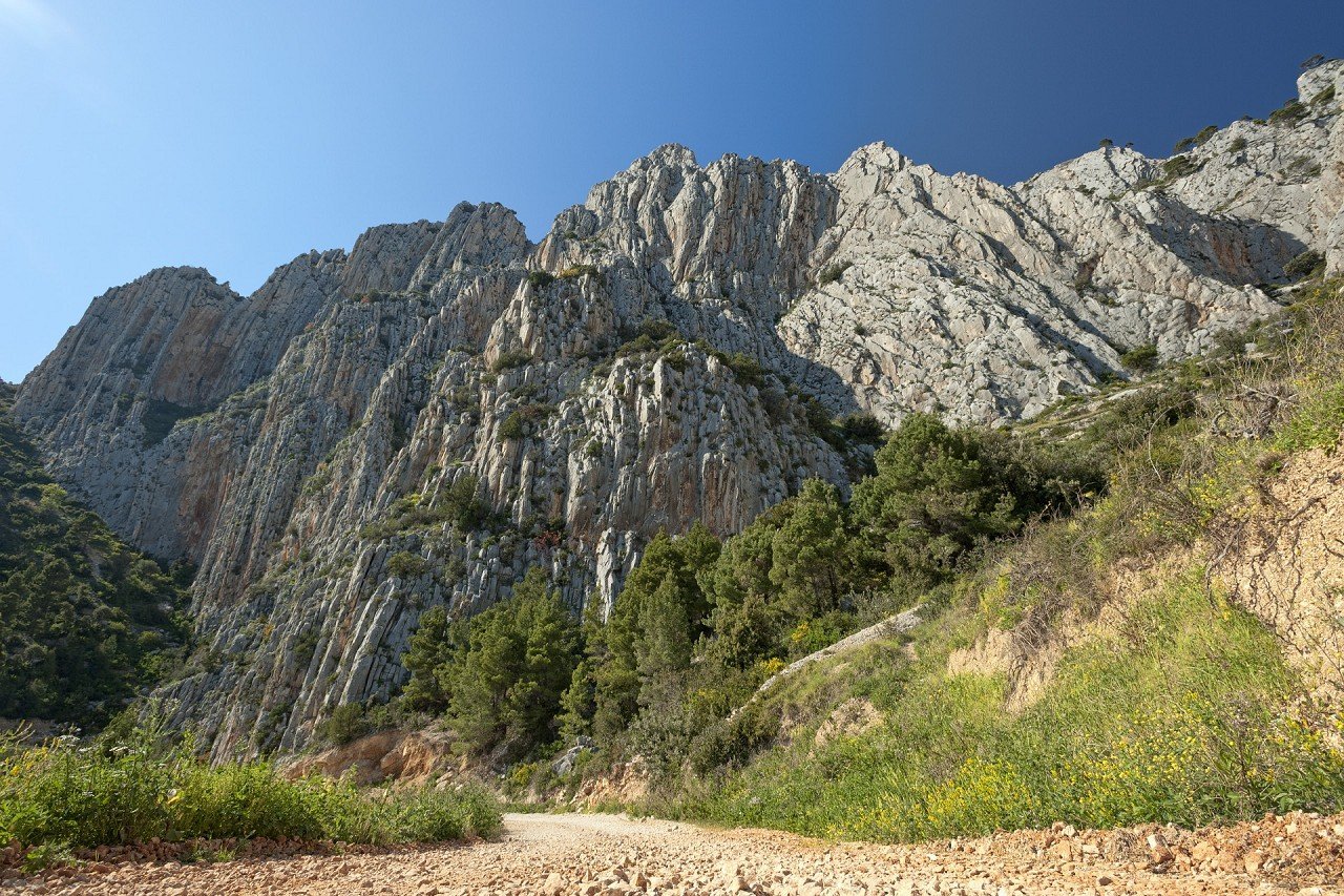 dolac